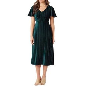 Briggs - Velvet Dress